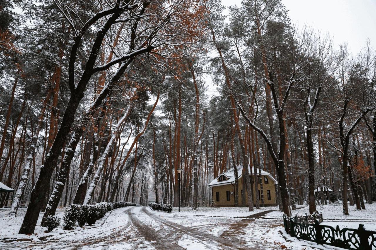 Kohavi Forest Club Orlovshchina Luaran gambar